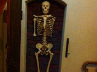 IMG 1659