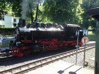 IMG 3294